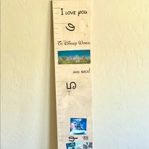 Disney World height measuring board